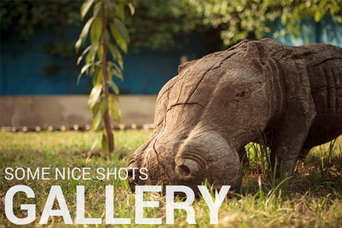 Gallery - somewhere nice Hostel Accra